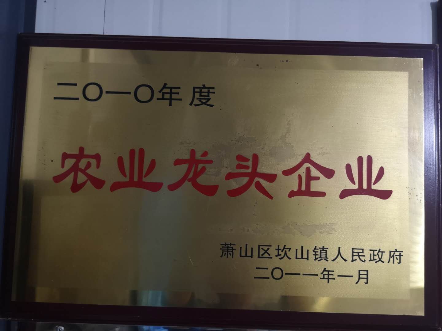  農(nóng)業(yè)龍頭企業(yè)